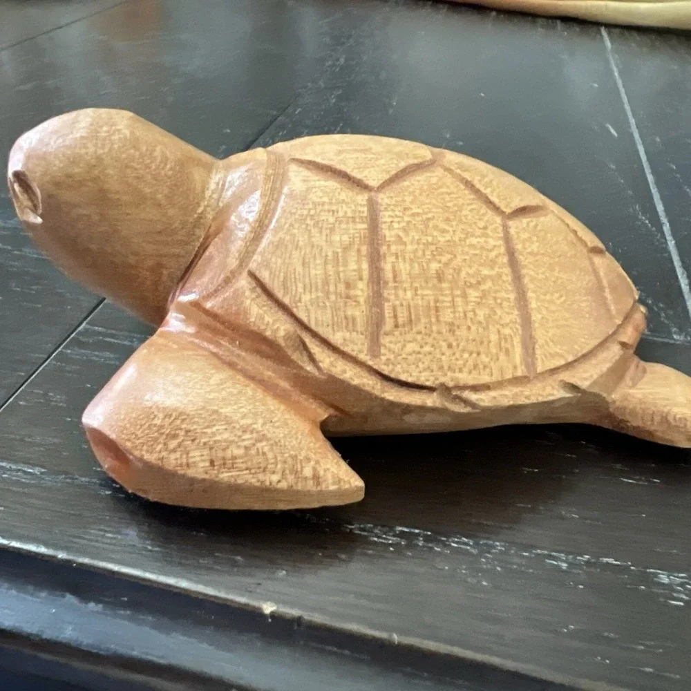 Wood Carved Turtle 5